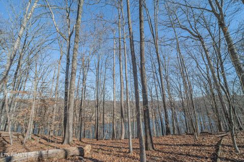 Tiny photo for Sheerwater Rd, Kingston, TN 37763 (MLS # 1324326)