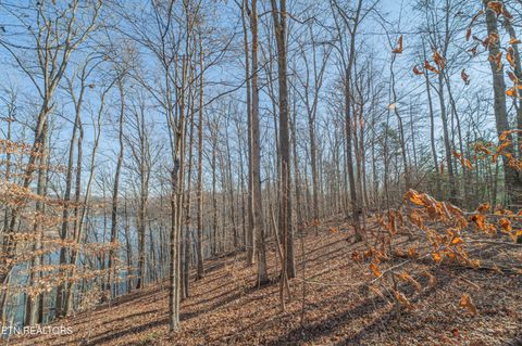Tiny photo for Sheerwater Rd, Kingston, TN 37763 (MLS # 1324326)