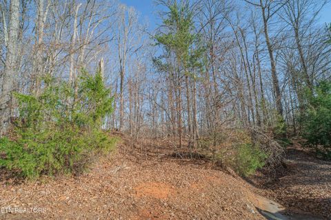 Photo of Sheerwater Rd, Kingston, TN 37763 (MLS # 1324326)