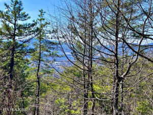 Tiny photo for Lot 2-A Ravens Den Way, Sevierville, TN 37862 (MLS # 1355948)