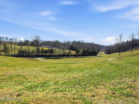 Tiny photo for 1101 Beason Ridge Rd, New Tazewell, TN 37825 (MLS # 1329083)