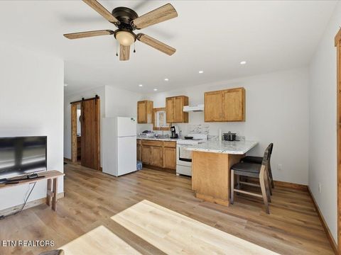 Tiny photo for 1101 Beason Ridge Rd, New Tazewell, TN 37825 (MLS # 1329083)