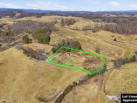 Tiny photo for 1101 Beason Ridge Rd, New Tazewell, TN 37825 (MLS # 1329083)