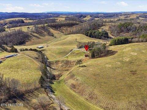 Tiny photo for 1101 Beason Ridge Rd, New Tazewell, TN 37825 (MLS # 1329083)