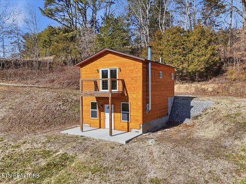 Tiny photo for 1101 Beason Ridge Rd, New Tazewell, TN 37825 (MLS # 1329083)