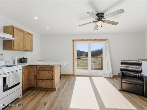 Tiny photo for 1101 Beason Ridge Rd, New Tazewell, TN 37825 (MLS # 1329083)