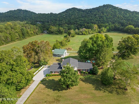 Tiny photo for 150 Raccoon Valley Rd, Powell, TN 37849 (MLS # 1355942)