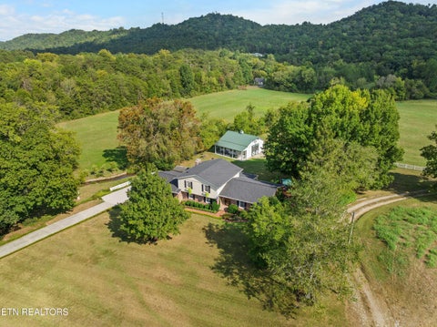 Tiny photo for 150 Raccoon Valley Rd, Powell, TN 37849 (MLS # 1355942)