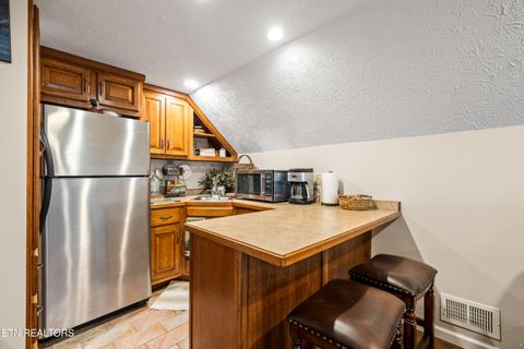 Tiny photo for 639 S Arch Rock Drive, Sevierville, TN 37876 (MLS # 1324417)