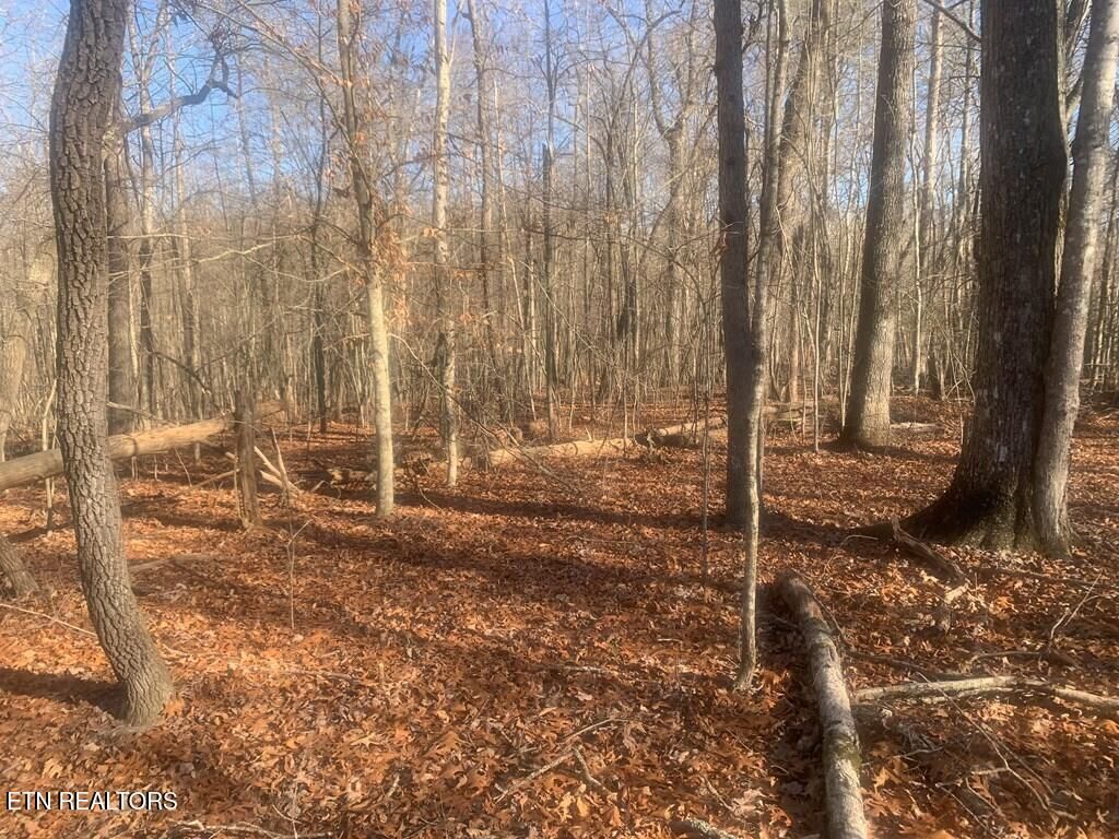 Photo of 14 Honeysuckle Road, Pikeville, TN 37367 (MLS # 1327757)