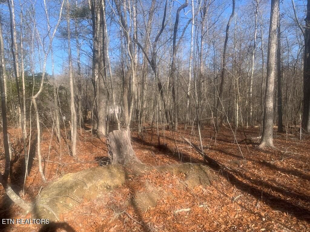 Photo of 14 Honeysuckle Road, Pikeville, TN 37367 (MLS # 1327757)