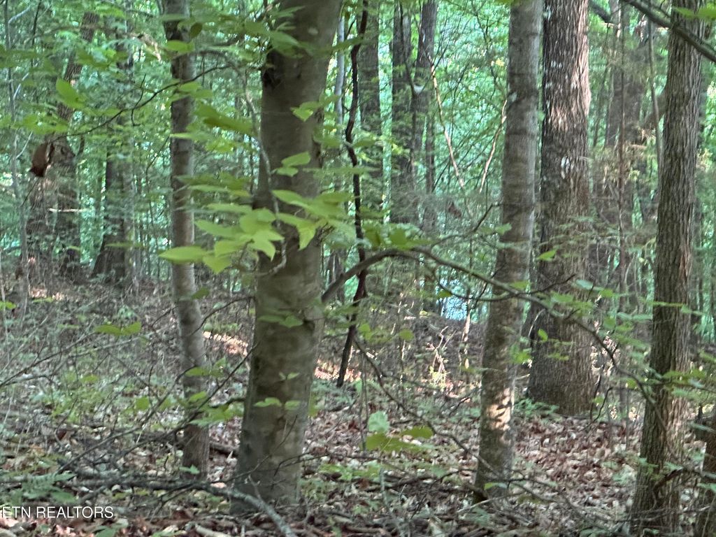 Photo of Cassies Xing, Speedwell, TN 37870 (MLS # 1340203)