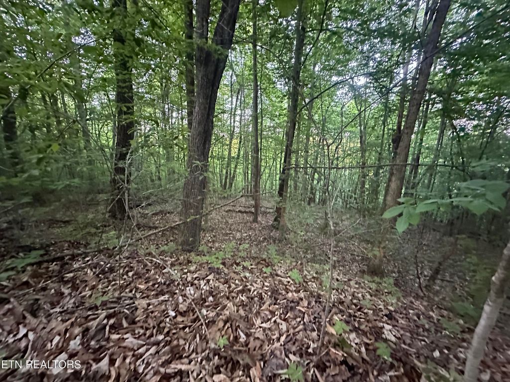 Photo of Cassies Xing, Speedwell, TN 37870 (MLS # 1340203)