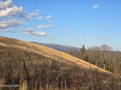 Tiny photo for 787 Oak Grove Rd, Harrogate, TN 37752 (MLS # 1318638)