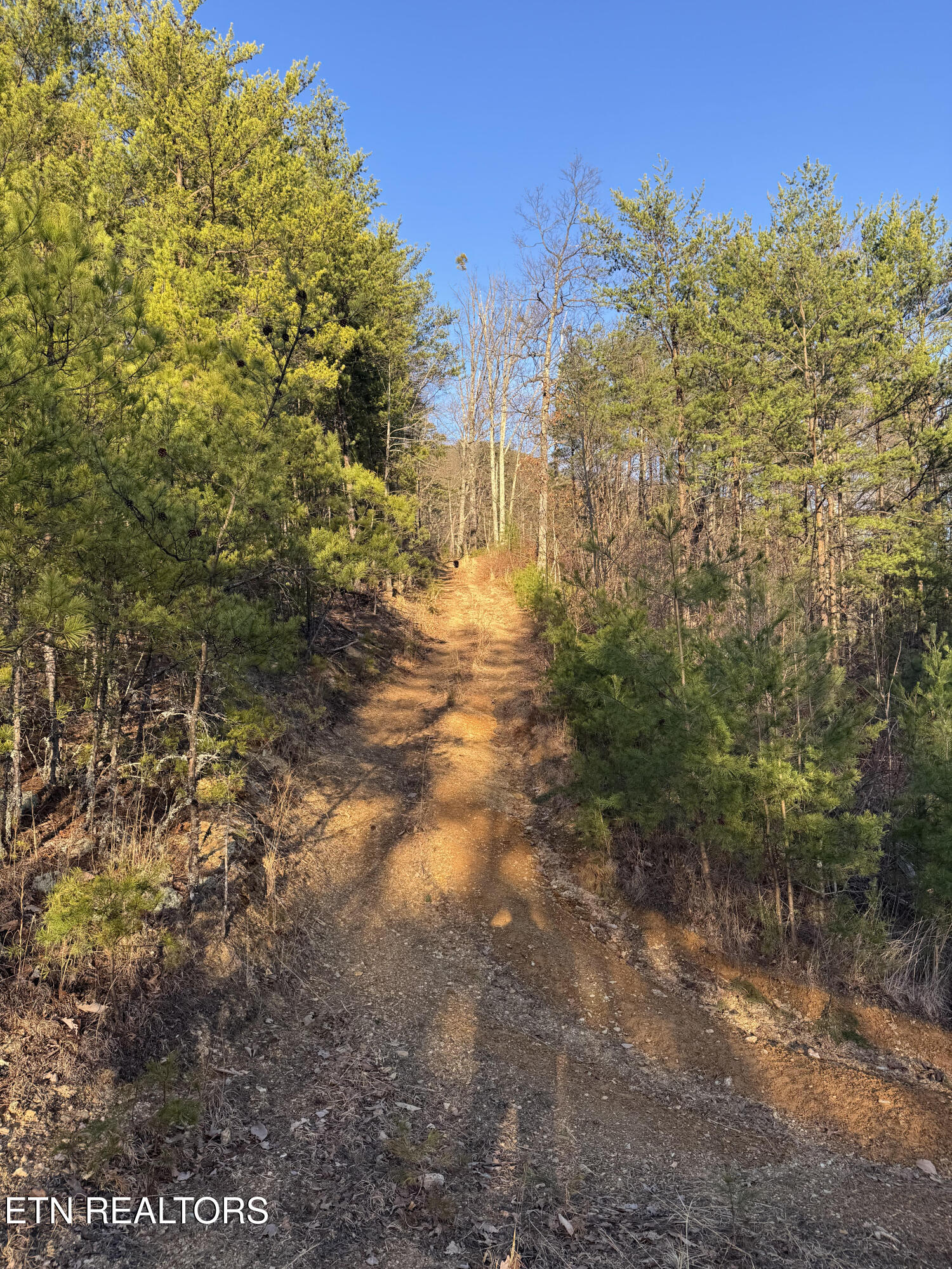 Rudd Hollow Rd