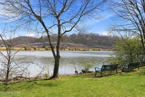 Tiny photo for 3637 Taliluna Ave #A1, Knoxville, TN 37919 (MLS # 1333977)