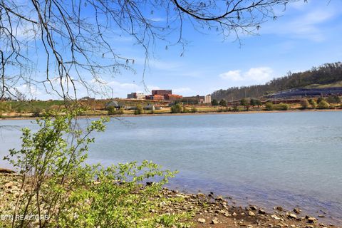 Tiny photo for 3637 Taliluna Ave #A1, Knoxville, TN 37919 (MLS # 1333977)