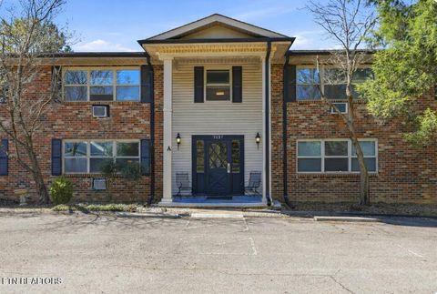 Photo of 3637 Taliluna Ave #A1, Knoxville, TN 37919 (MLS # 1333977)
