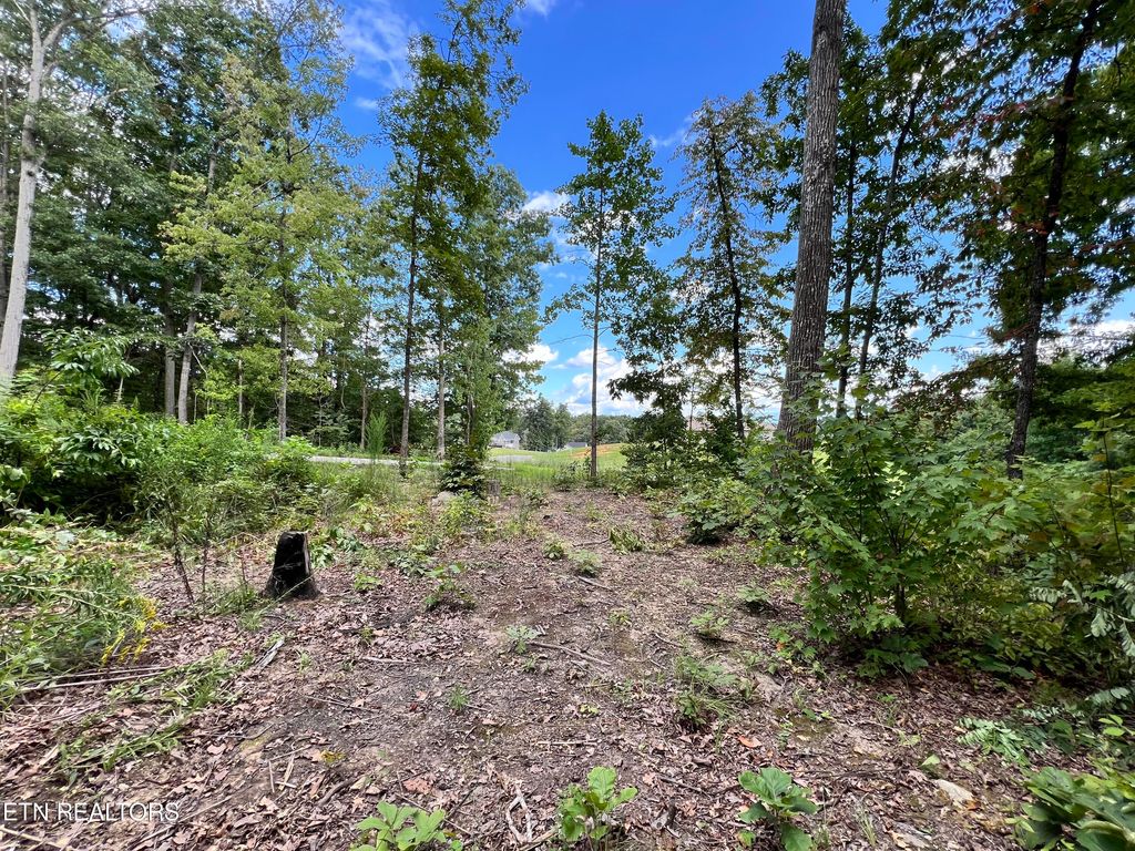 Photo of Lot 28 Dogwood Meadows Drive, Strawberry Plains, TN 37871 (MLS # 1273425)