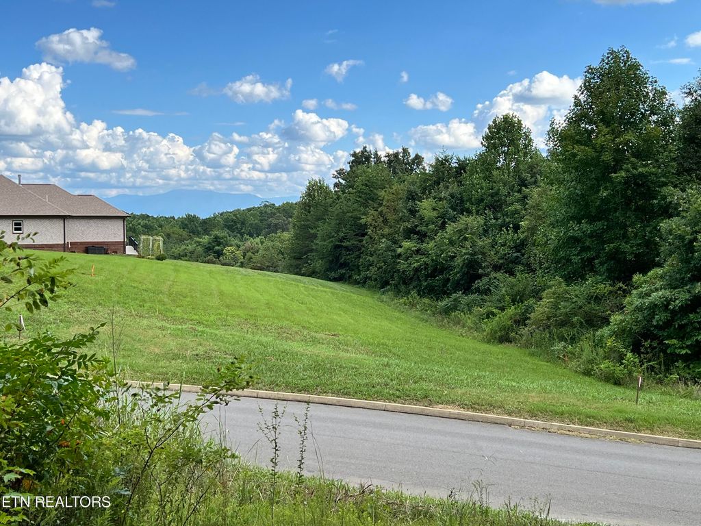 Photo of Lot 28 Dogwood Meadows Drive, Strawberry Plains, TN 37871 (MLS # 1273425)