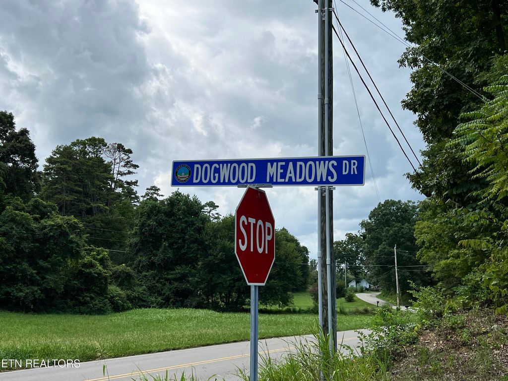 Photo of Lot 28 Dogwood Meadows Drive, Strawberry Plains, TN 37871 (MLS # 1273425)