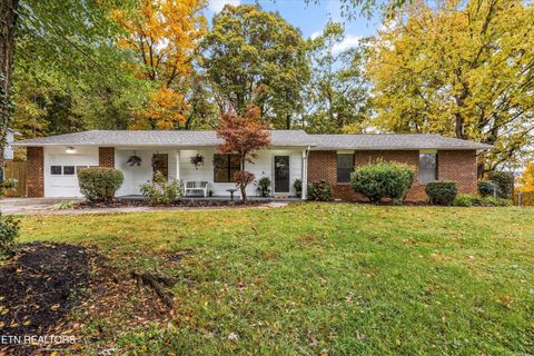 Photo of 10913 Sonja Drive, Knoxville, TN 37934 (MLS # 1320994)