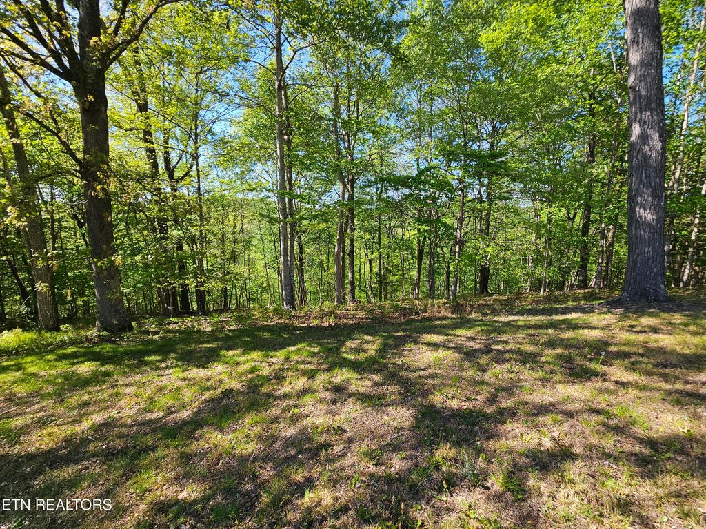 Photo of Norris View Lane #1, LaFollette, TN 37766 (MLS # 1337562)