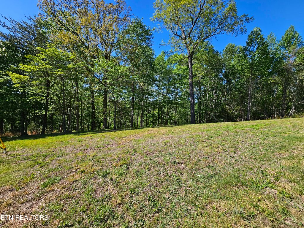 Photo of Norris View Lane #1, LaFollette, TN 37766 (MLS # 1337562)