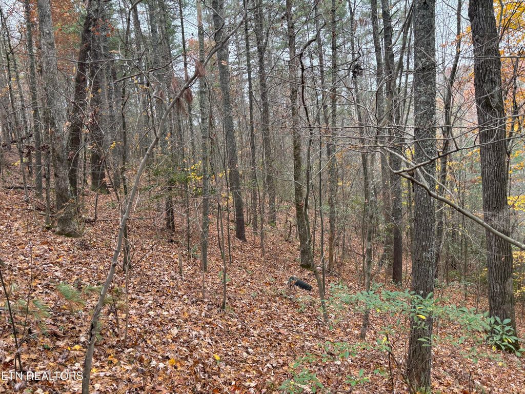 Photo of 167 Balfour Drive, Harriman, TN 37748 (MLS # 1321383)