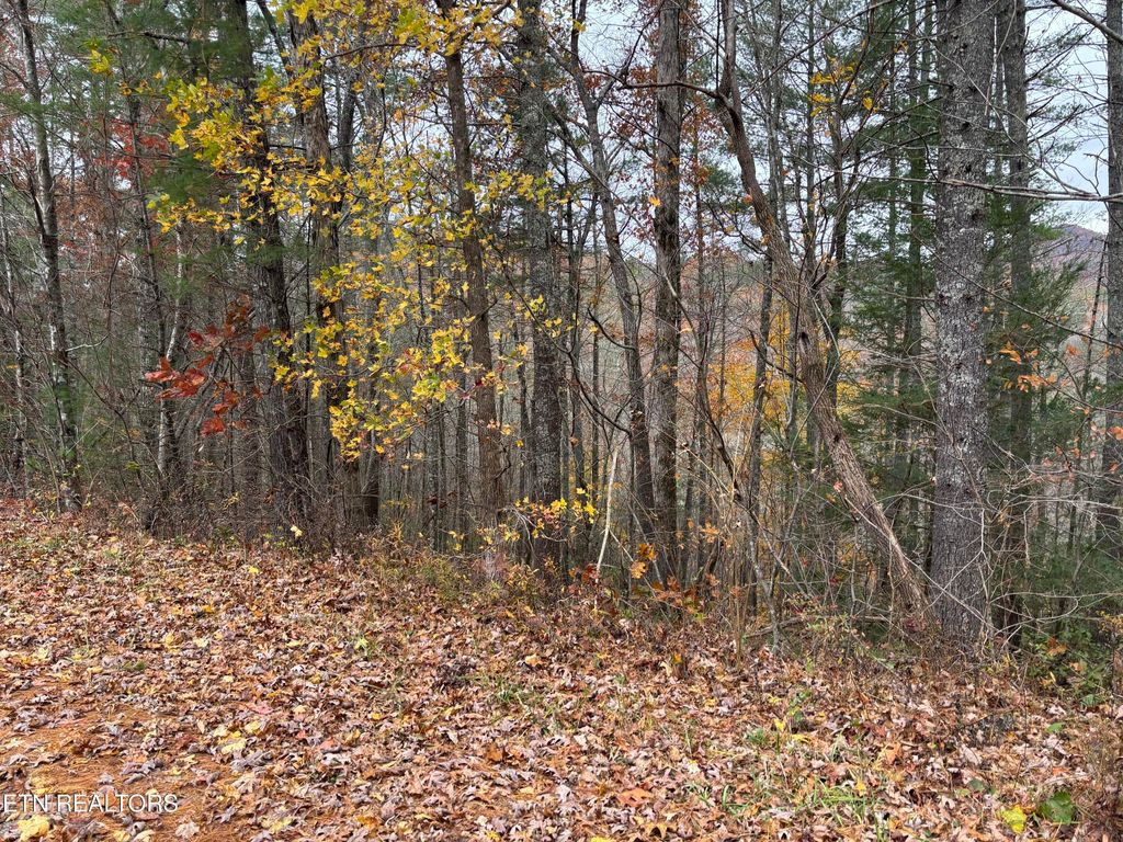 Photo of 167 Balfour Drive, Harriman, TN 37748 (MLS # 1321383)