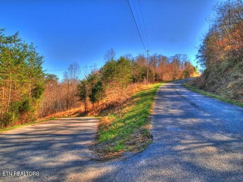 Tiny photo for 33 Mountain Shores Rd, New Tazewell, TN 37825 (MLS # 1332856)