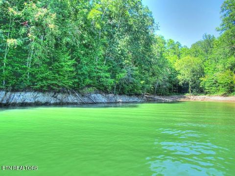 Tiny photo for 33 Mountain Shores Rd, New Tazewell, TN 37825 (MLS # 1332856)