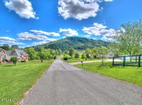 Tiny photo for 33 Mountain Shores Rd, New Tazewell, TN 37825 (MLS # 1332856)