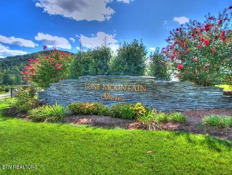 Tiny photo for 33 Mountain Shores Rd, New Tazewell, TN 37825 (MLS # 1332856)
