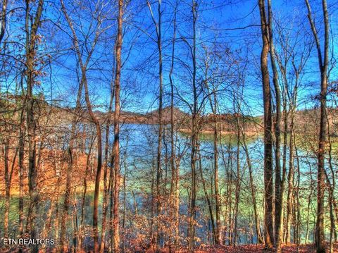 Tiny photo for 33 Mountain Shores Rd, New Tazewell, TN 37825 (MLS # 1332856)