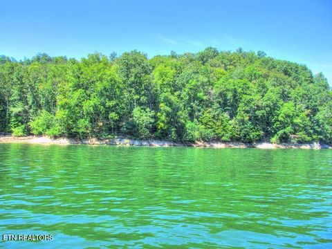 Tiny photo for 33 Mountain Shores Rd, New Tazewell, TN 37825 (MLS # 1332856)
