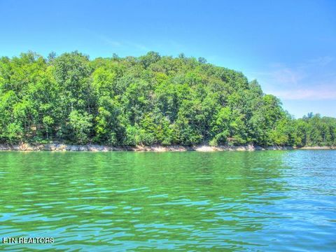 Tiny photo for 33 Mountain Shores Rd, New Tazewell, TN 37825 (MLS # 1332856)