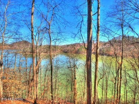 Tiny photo for 33 Mountain Shores Rd, New Tazewell, TN 37825 (MLS # 1332856)