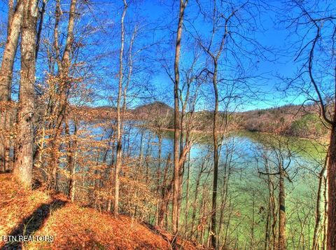 Tiny photo for 33 Mountain Shores Rd, New Tazewell, TN 37825 (MLS # 1332856)