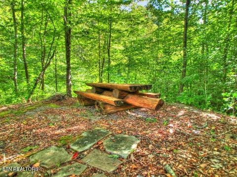 Tiny photo for 33 Mountain Shores Rd, New Tazewell, TN 37825 (MLS # 1332856)