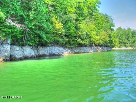 Tiny photo for 33 Mountain Shores Rd, New Tazewell, TN 37825 (MLS # 1332856)