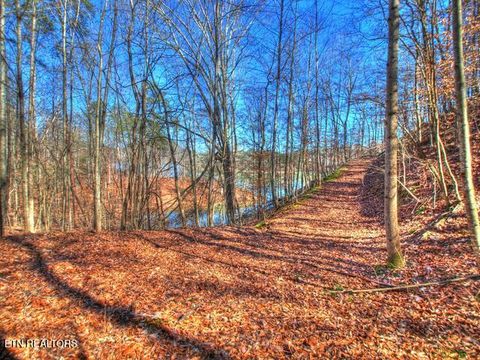 Tiny photo for 33 Mountain Shores Rd, New Tazewell, TN 37825 (MLS # 1332856)