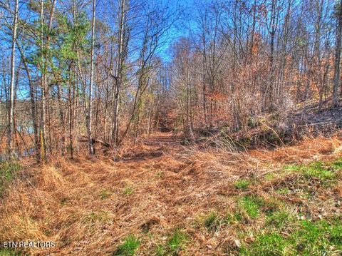 Tiny photo for 33 Mountain Shores Rd, New Tazewell, TN 37825 (MLS # 1332856)