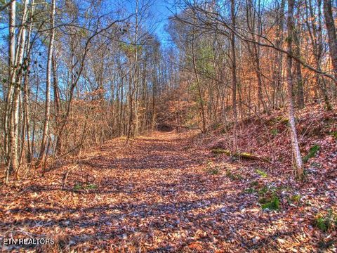 Tiny photo for 33 Mountain Shores Rd, New Tazewell, TN 37825 (MLS # 1332856)