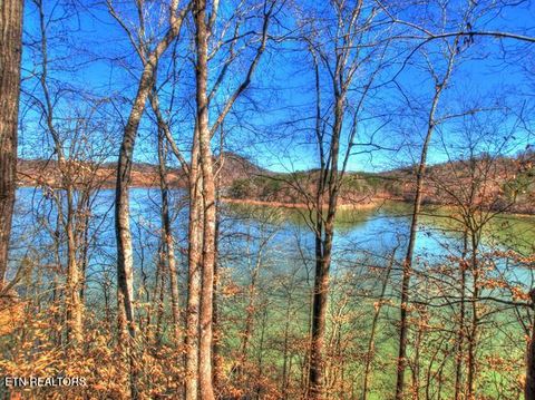 Tiny photo for 33 Mountain Shores Rd, New Tazewell, TN 37825 (MLS # 1332856)
