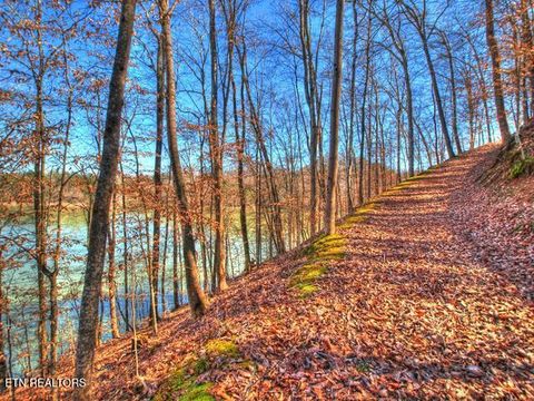 Tiny photo for 33 Mountain Shores Rd, New Tazewell, TN 37825 (MLS # 1332856)