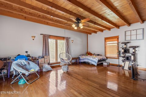 Tiny photo for 215 Mize Ct. Court, Tellico Plains, TN 37385 (MLS # 1319751)