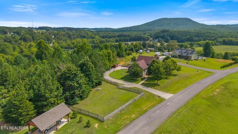 Tiny photo for 215 Mize Ct. Court, Tellico Plains, TN 37385 (MLS # 1319751)