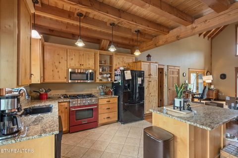 Tiny photo for 215 Mize Ct. Court, Tellico Plains, TN 37385 (MLS # 1319751)