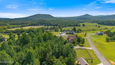 Tiny photo for 215 Mize Ct. Court, Tellico Plains, TN 37385 (MLS # 1319751)